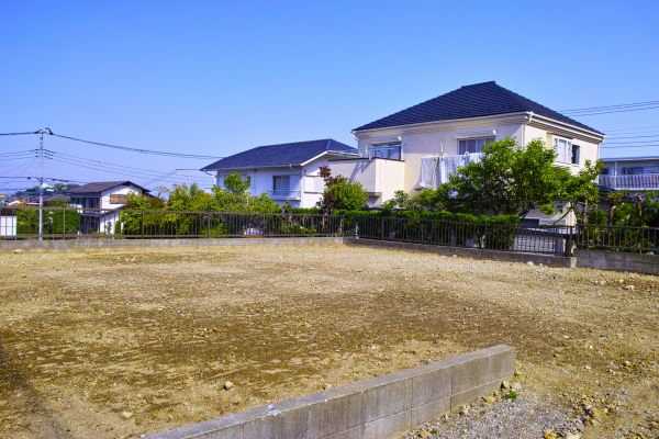 Cost of Lot Clearing Service in Shingle Springs