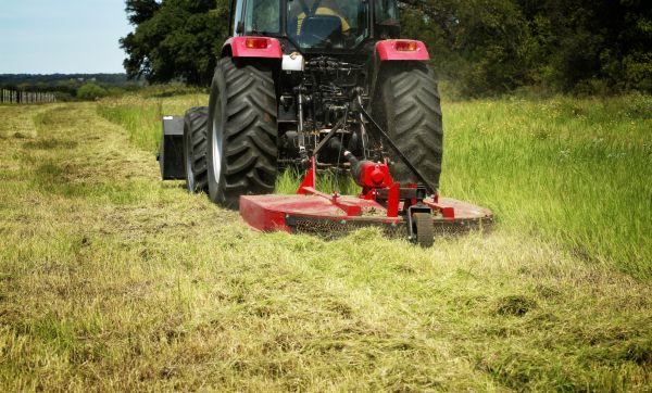 Cost of Brush Clearing Service in Shingle Springs