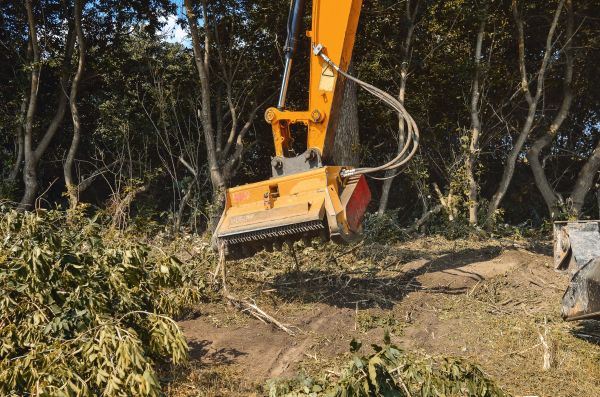 Cost of Brush Removal Service in Shingle Springs