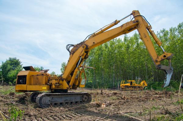 Cost of Farm Clearing in Shingle Springs