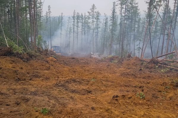Cost of Hill Clearing in Shingle Springs