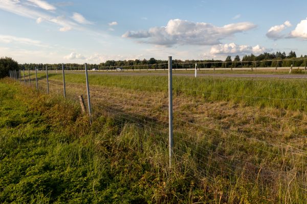 Cost of Property Line Clearing in Shingle Springs
