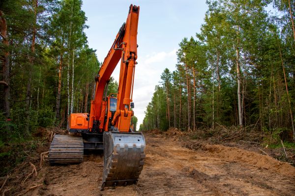 Cost of Backhoe Land Clearing in Shingle Springs