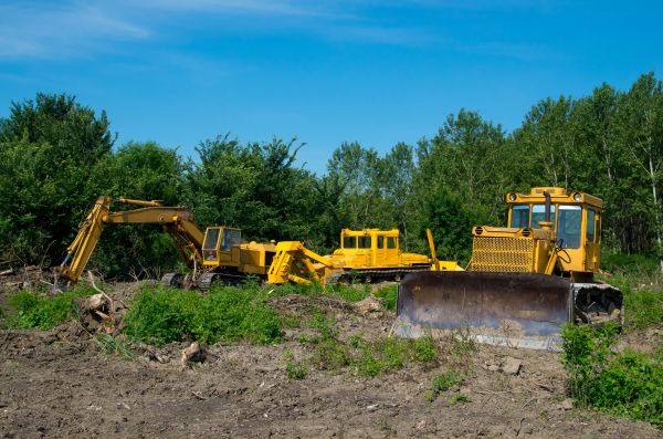 Cost of Bulldozer Clearing in Shingle Springs