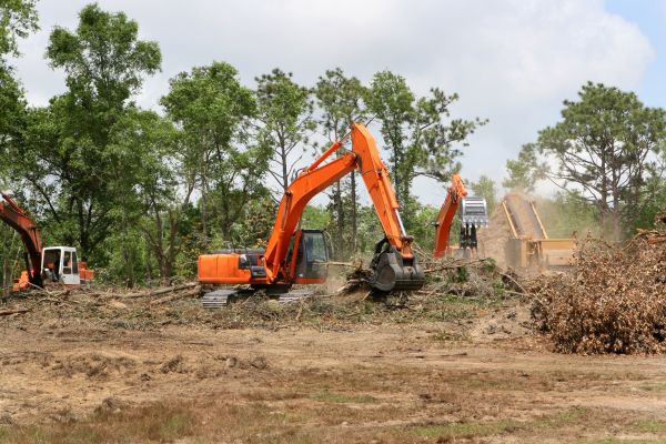 Cost of Commercial Lot Clearing in Shingle Springs