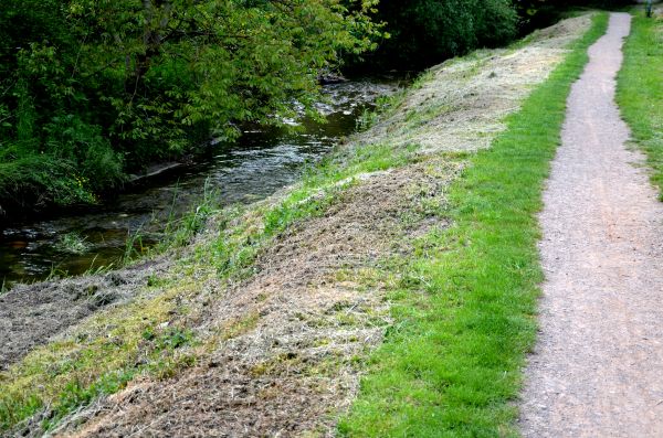 Cost of Trail Cutting in Shingle Springs