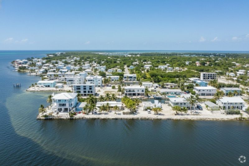 Waterfront Land Clearing