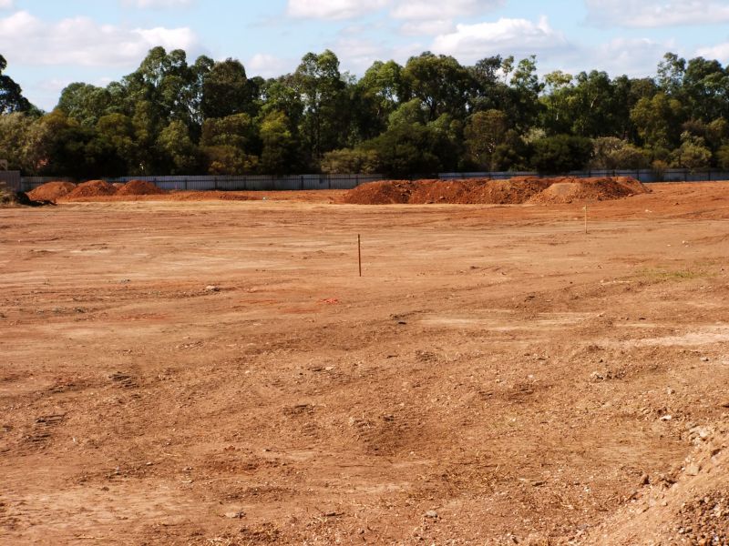 Whatâ€™s Involved In Professional Land Clearing?